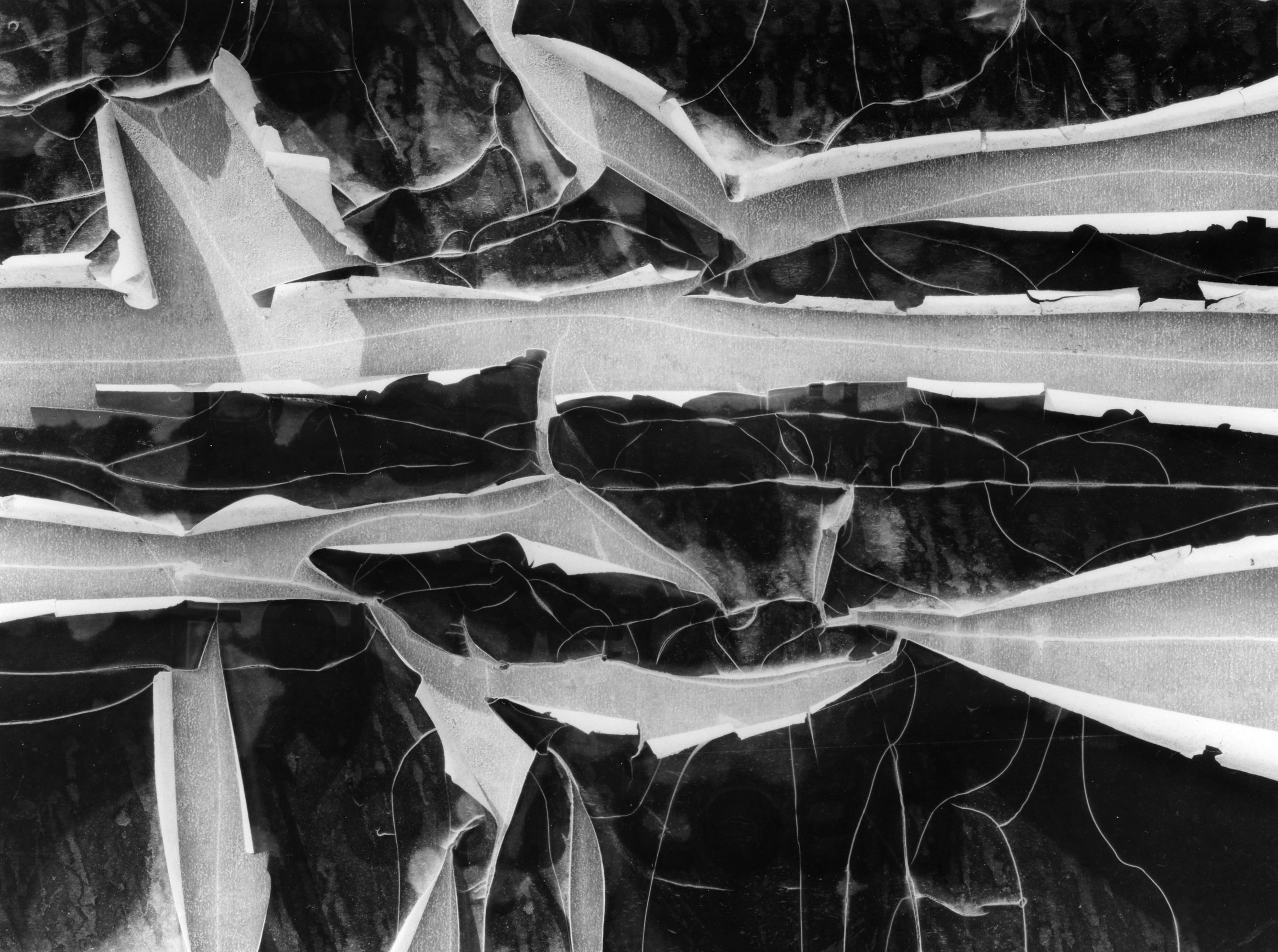 Inner Light Book Cover